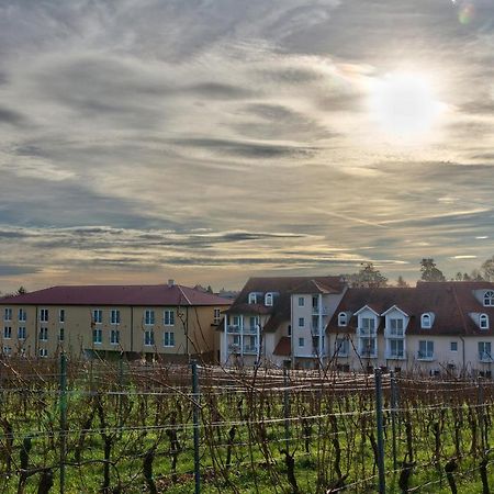 Das Prinzregent Edenkoben Buitenkant foto